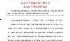 王亚伟最新爆料,揭秘行业内幕与投资新动向