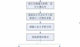 24年新瓜车最新爆料,颠覆性创新与市场新格局揭秘