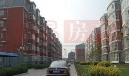 龙兴嘉苑爆料最新消息,揭秘项目进展与周边动态