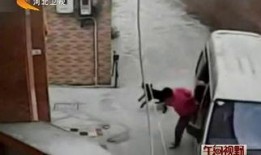 最新偷鱼爆料事件新闻,揭秘网络爆料背后的真相与争议
