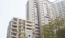 龙兴嘉苑爆料最新消息,揭秘项目进展与周边动态