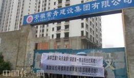 隆平高科最新爆料信息网,揭秘农业科技新突破与未来发展战略